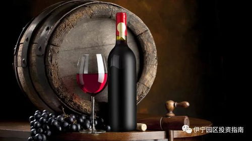 第三彈 伊寧園區(qū)四大類農(nóng)副產(chǎn)品精深加工項(xiàng)目揭牌推介