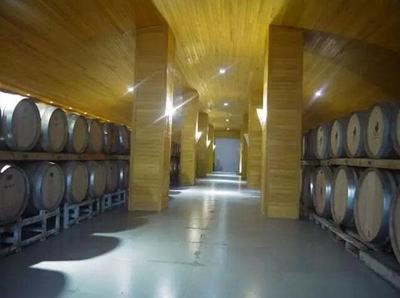 源于情懷,看姜莊主如何在新疆沙漠打造中國最大的&ldquo;休閑農(nóng)莊&rdquo;! - 今日頭條(www.toutiao.com)